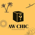 Vacation mystery box
